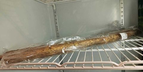 WhatsApp Image 2025-11-04 at 15.31.38