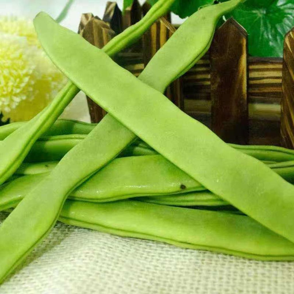 WhatsApp Image 2026-01-18 at 11.52.44