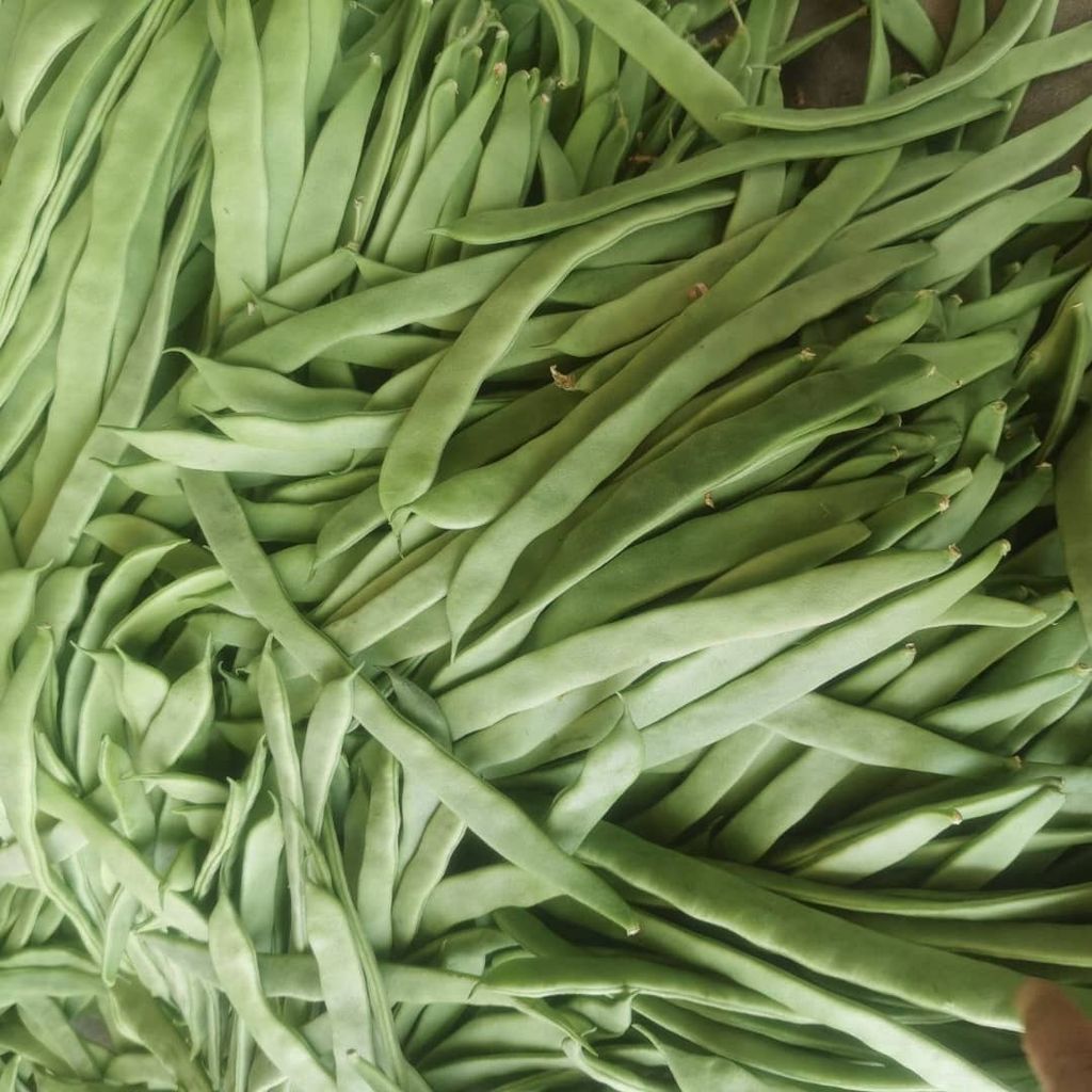 WhatsApp Image 2026-01-18 at 11.46.43