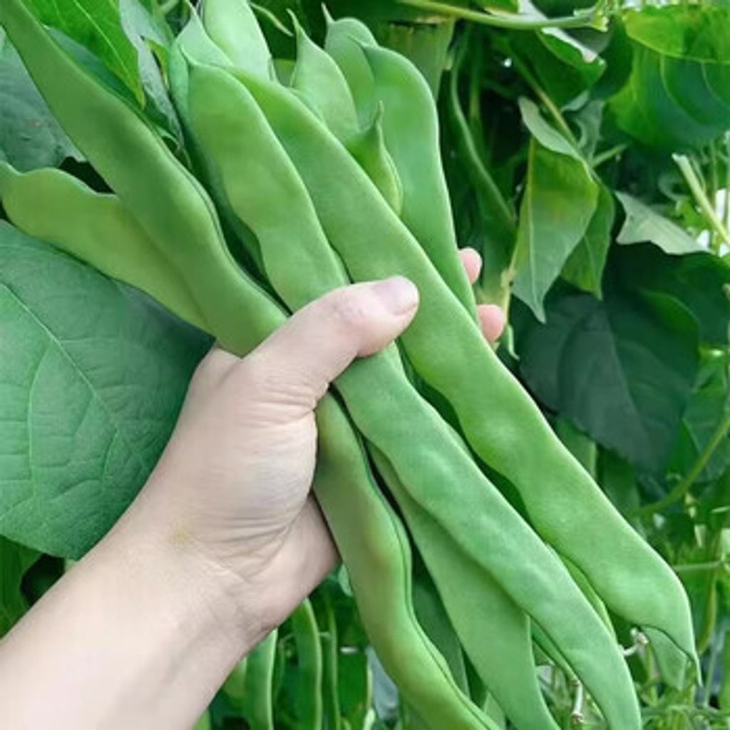 WhatsApp Image 2026-01-18 at 11.52.44 (1)