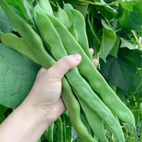 WhatsApp Image 2026-01-18 at 11.52.44 (1)