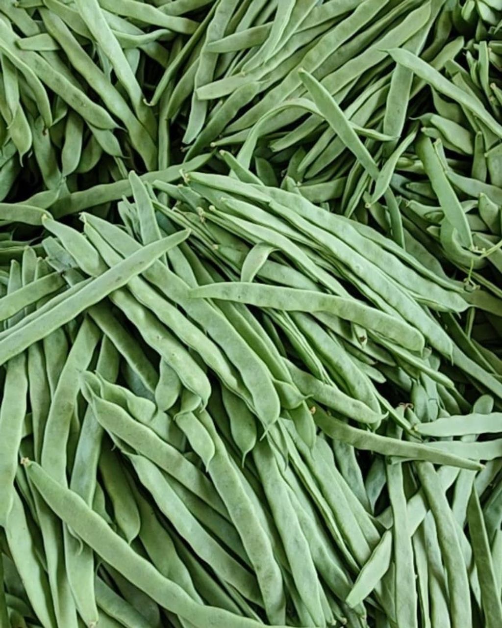 WhatsApp Image 2026-01-18 at 11.52.43