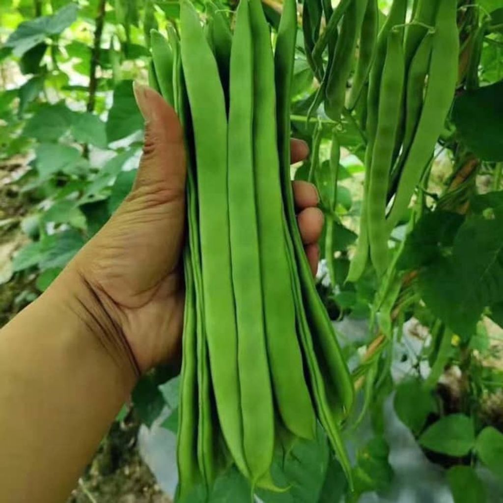 WhatsApp Image 2026-01-18 at 11.52.44 (2)