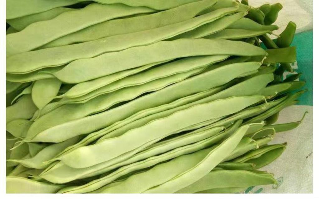 WhatsApp Image 2026-01-18 at 11.46.21