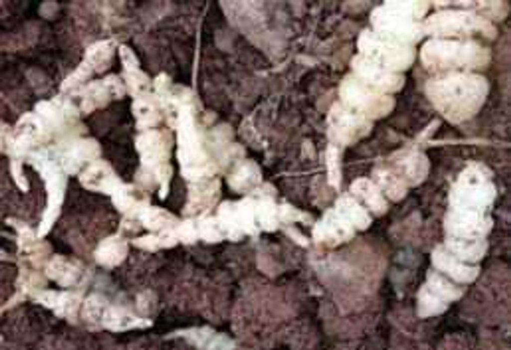 WhatsApp Image 2026-01-18 at 12.12.19