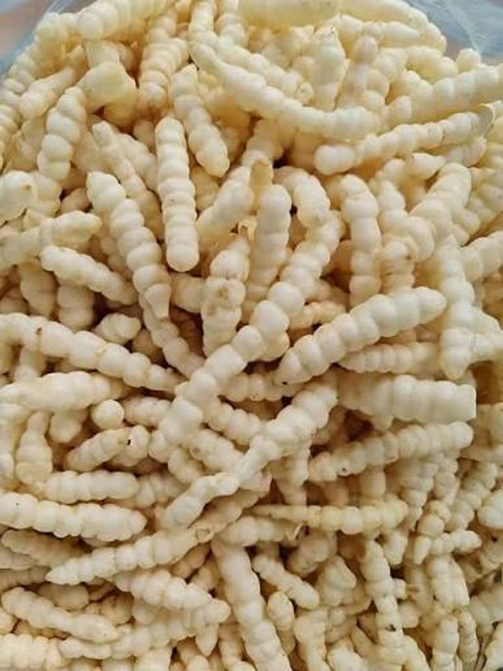 WhatsApp Image 2026-01-18 at 12.10.47 (1)