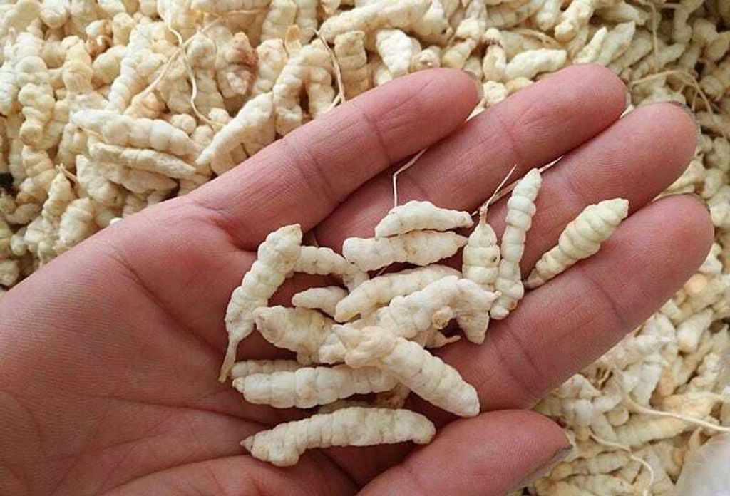 WhatsApp Image 2026-01-18 at 12.12.16