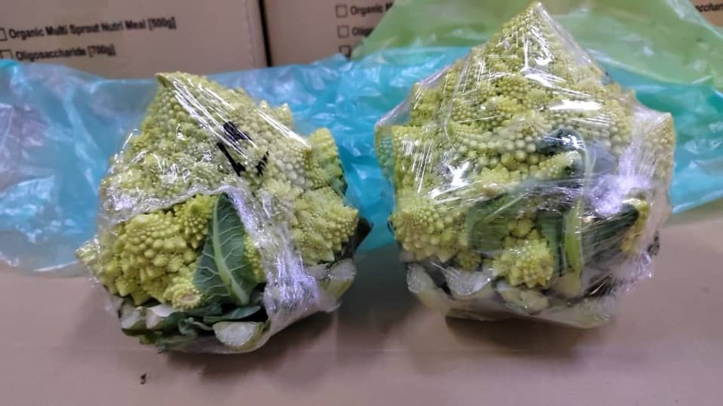 WhatsApp Image 2026-01-18 at 12.49.53 (4)