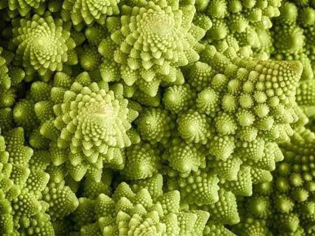 WhatsApp Image 2026-01-18 at 12.49.53