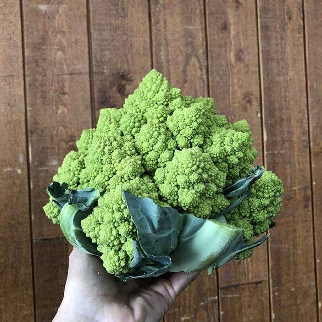 WhatsApp Image 2026-01-18 at 12.49.53 (3)