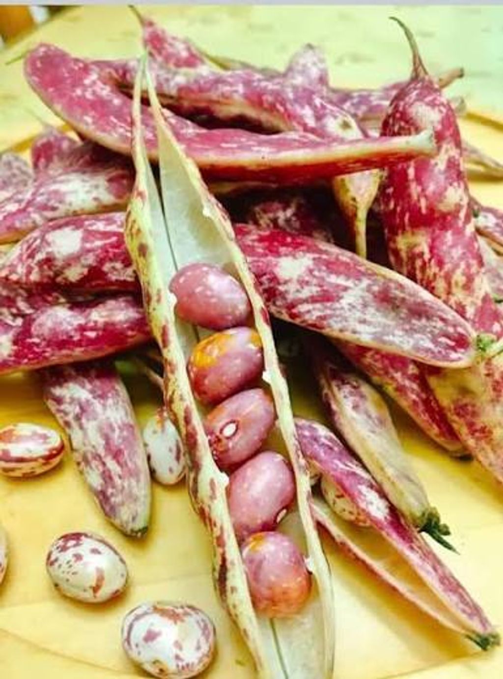 01108fb3-6752-45ef-852b-5b4f41d388eb