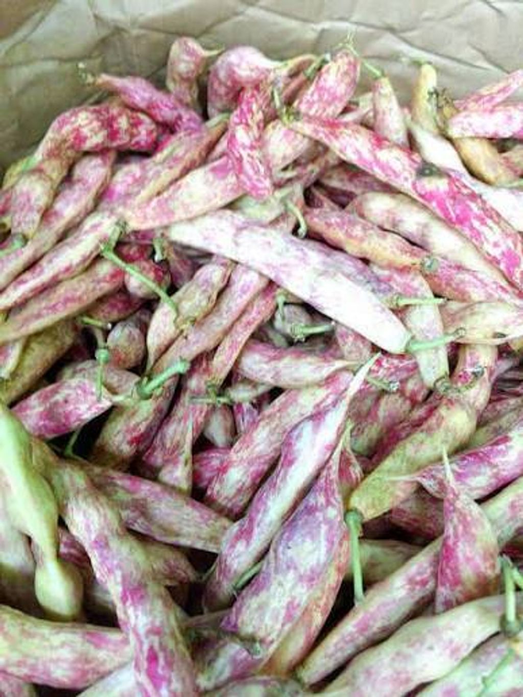 63b94a38-25b7-42fb-9e2a-549c7d5438e9