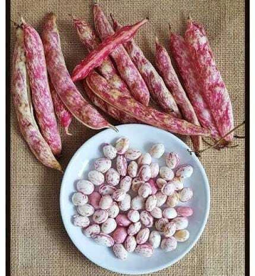 7a5c624d-1ba2-423a-891a-6d44ec6dd406