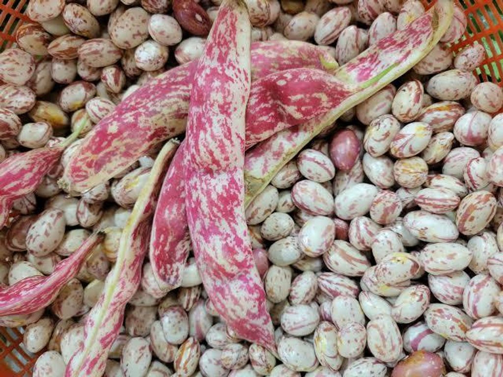 dd1a1a31-59a7-42ff-a60b-08681fe59ac2