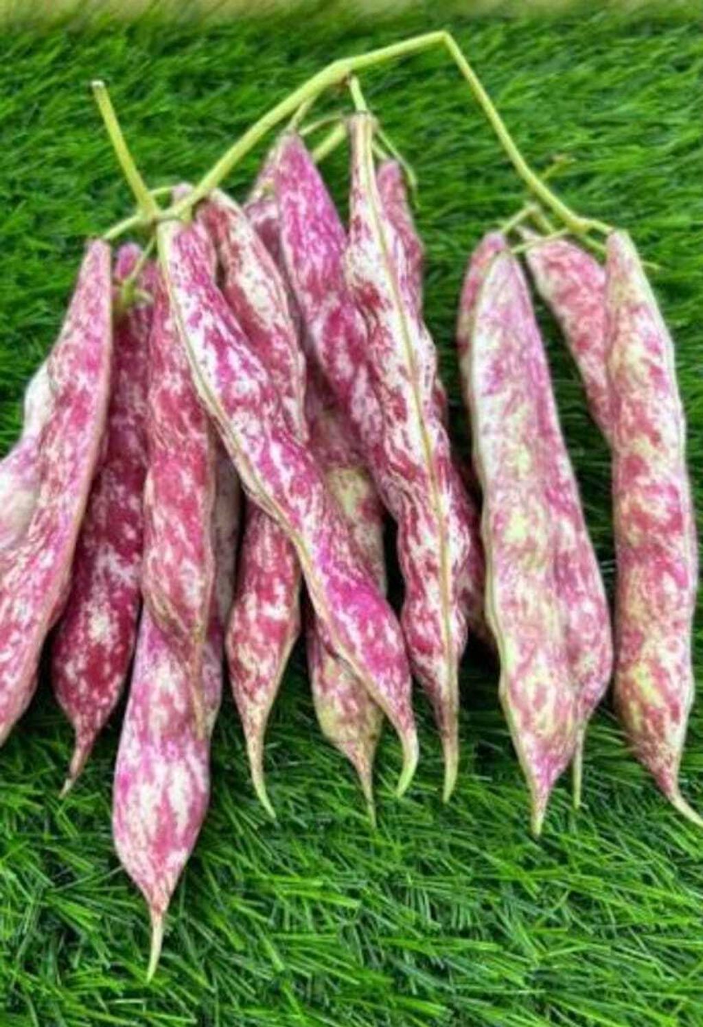 116557af-bc9b-4d80-8162-3e83262c8d47