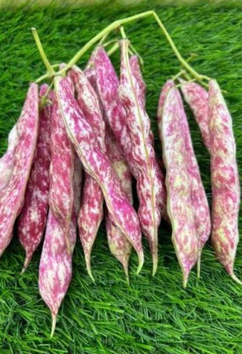 116557af-bc9b-4d80-8162-3e83262c8d47