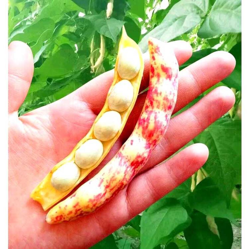 02b7e34e-f468-4df0-9a0e-32bd26c4bd52