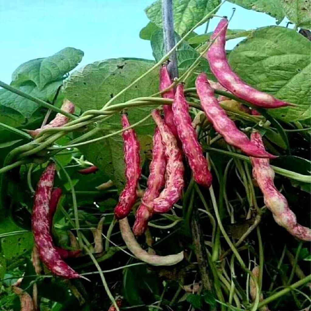 30b1df5e-2ec8-434d-bcc8-3742548a6c97