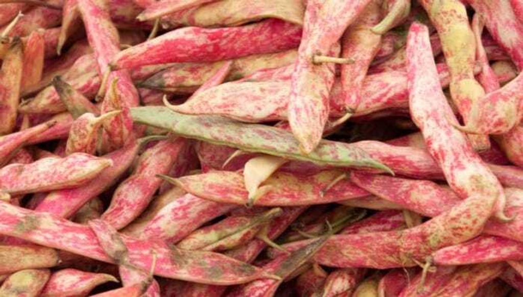 f6074ca0-8112-4e0c-9062-15f8304bc405