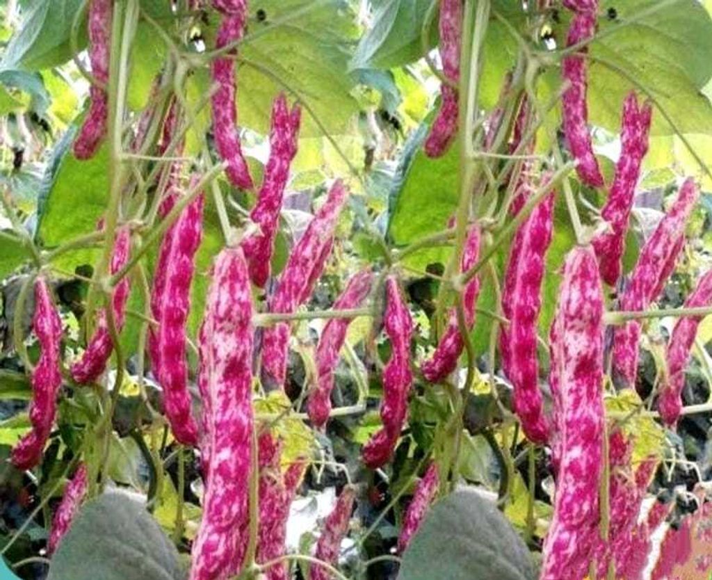 f5c46cfb-8aa1-4dbb-98d3-867de04e5bf7