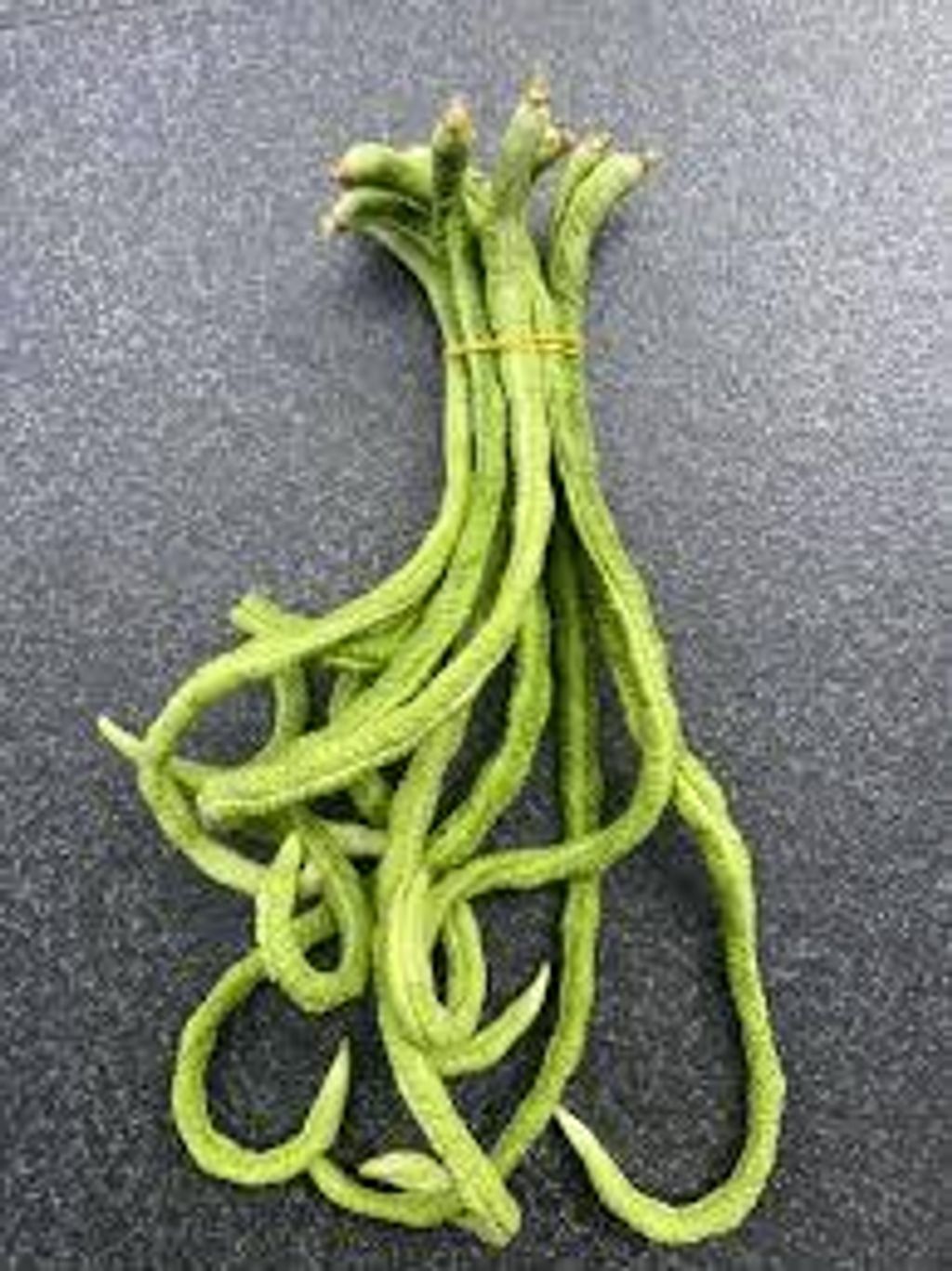 9bad7a8f-8128-458e-9945-b9752e9edbc4