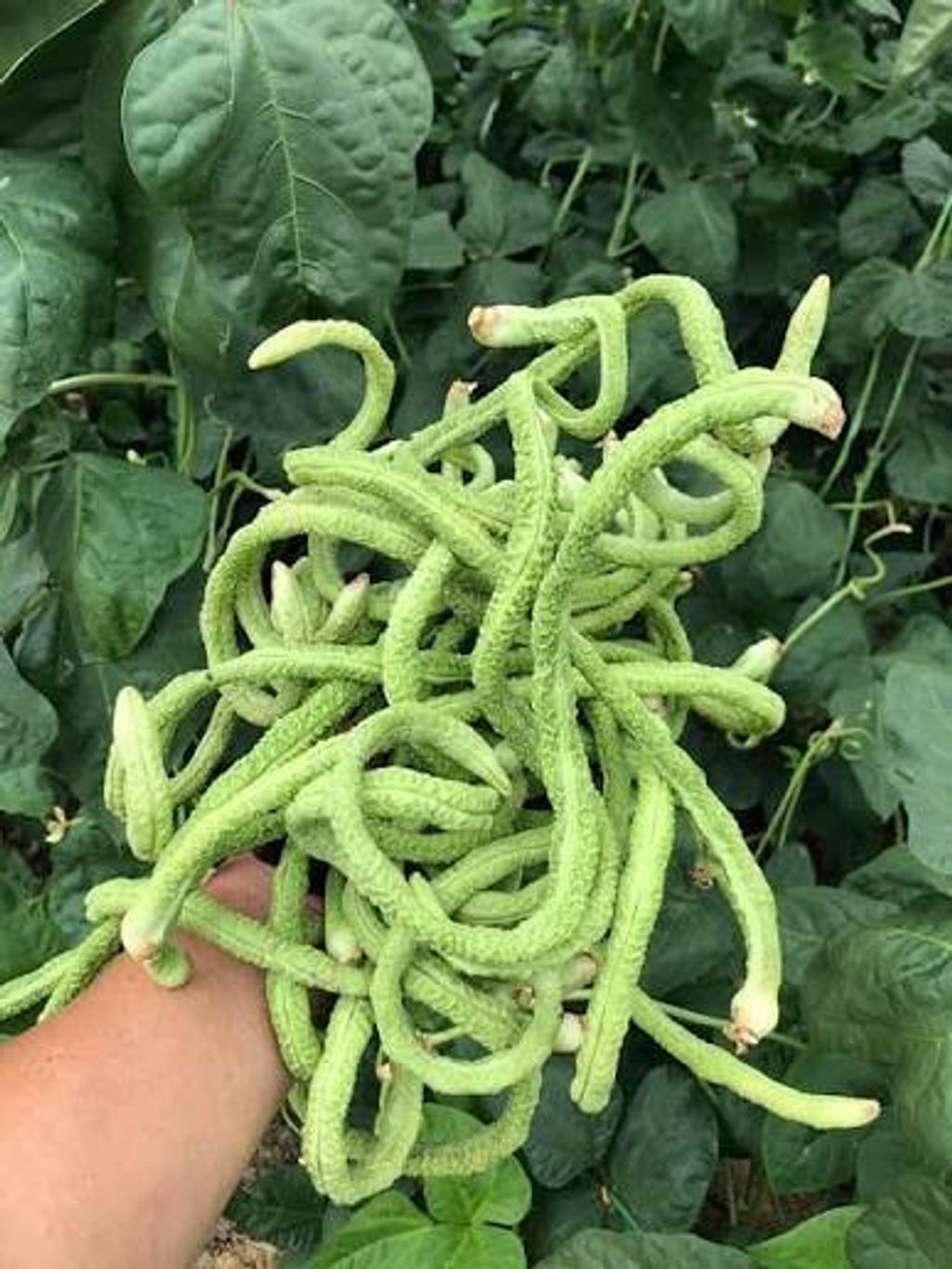 411e066c-cdbd-4593-9e76-be650b7d1465