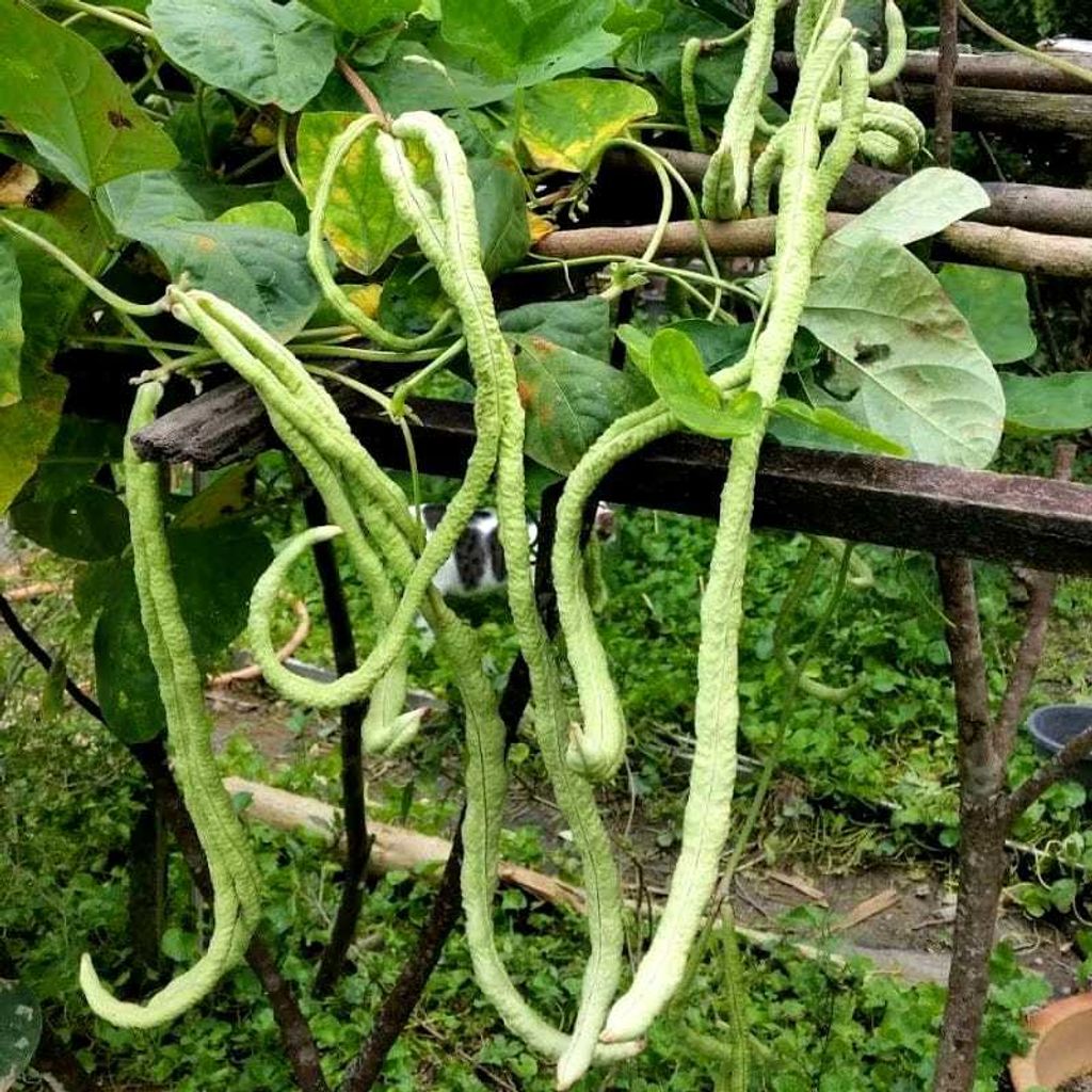 b57e1426-f57c-4ede-b45a-81c52da1884c