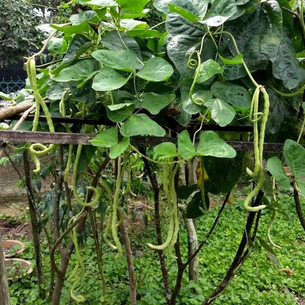 124791c0-b720-41f3-9877-d016607479ab