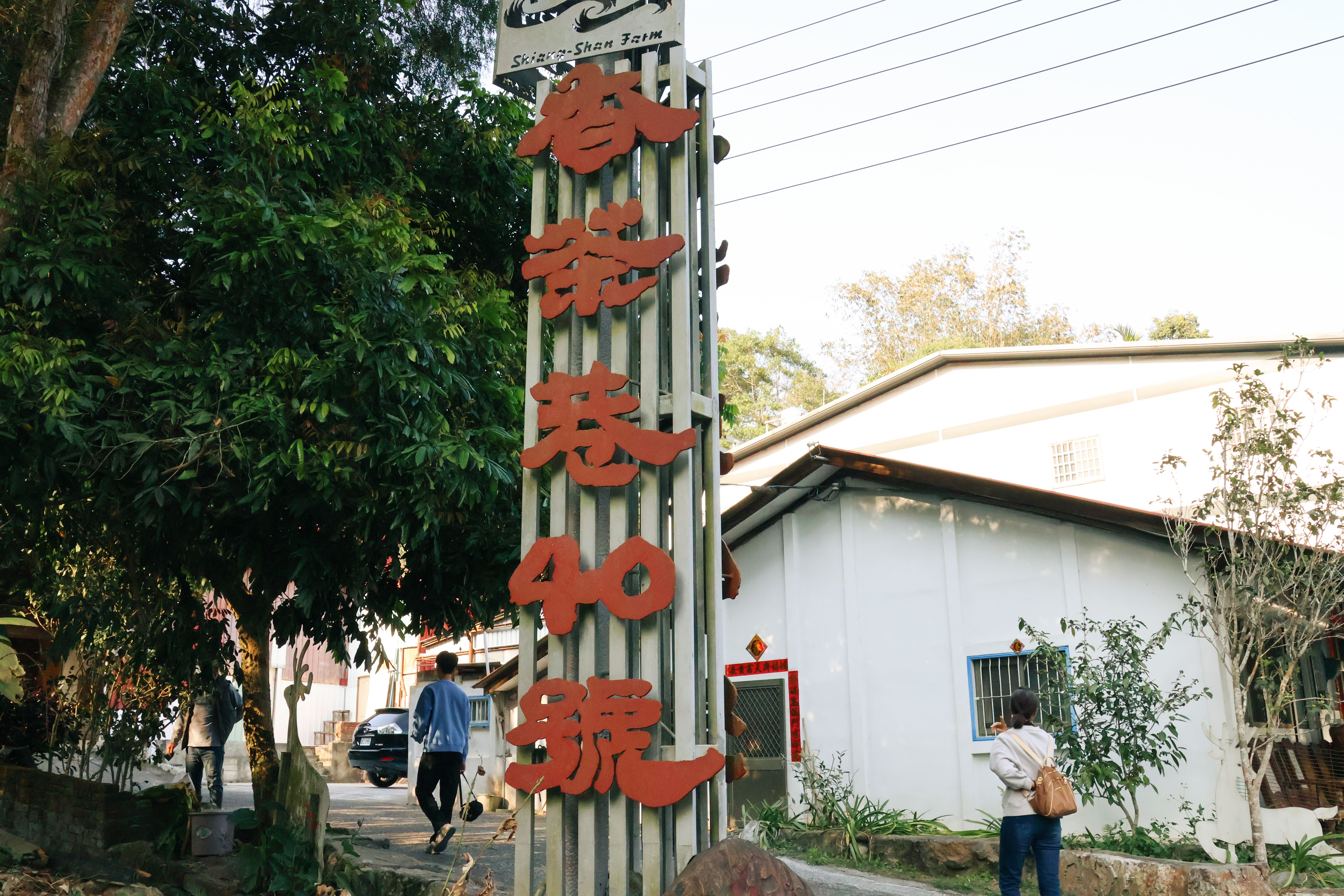 深度探訪有機茶園-香茶巷40號：自然農法的對話