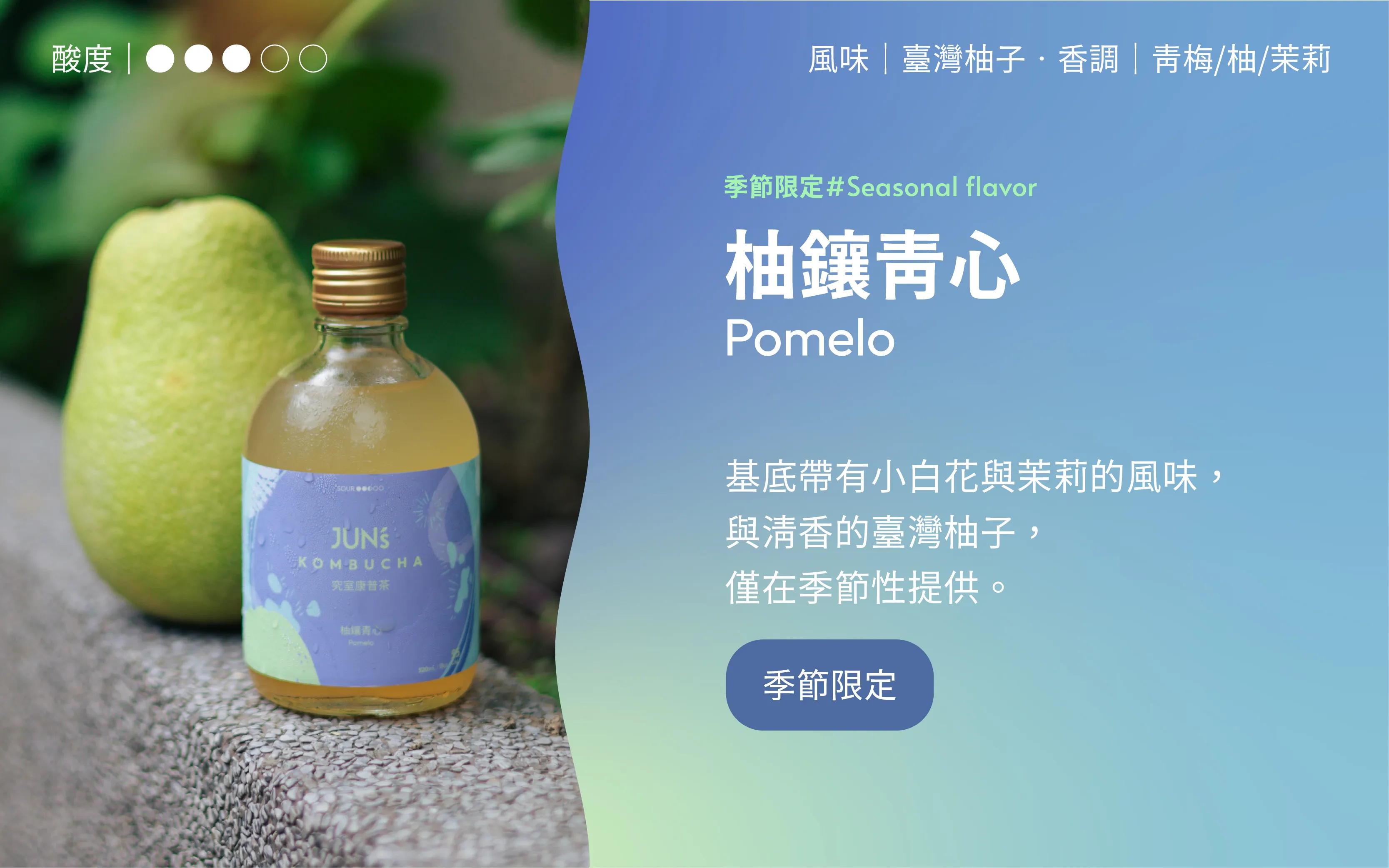 2024-0924-全口味介紹-800x500-07