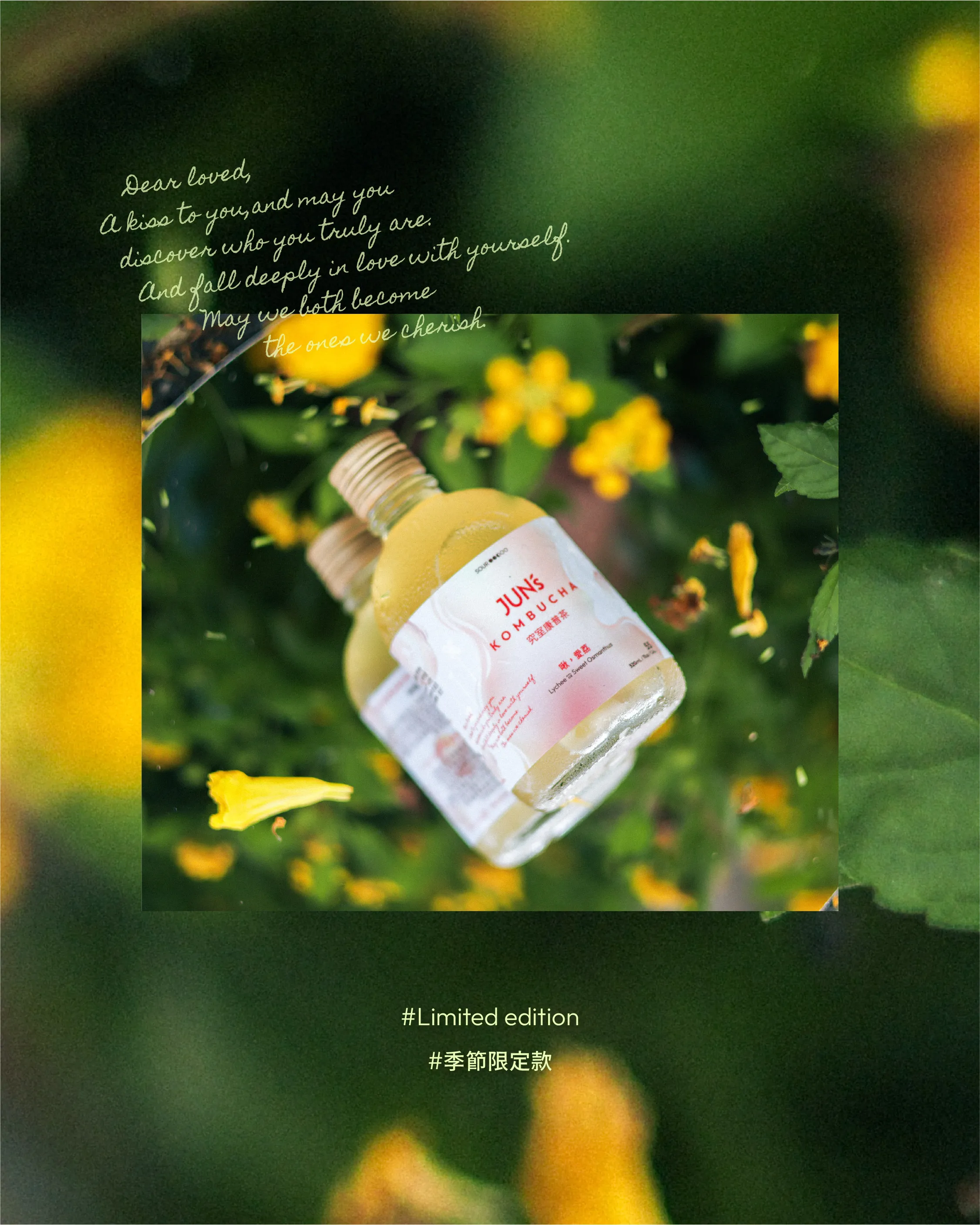  | Jun's Kombucha 究室康普茶｜台中精釀