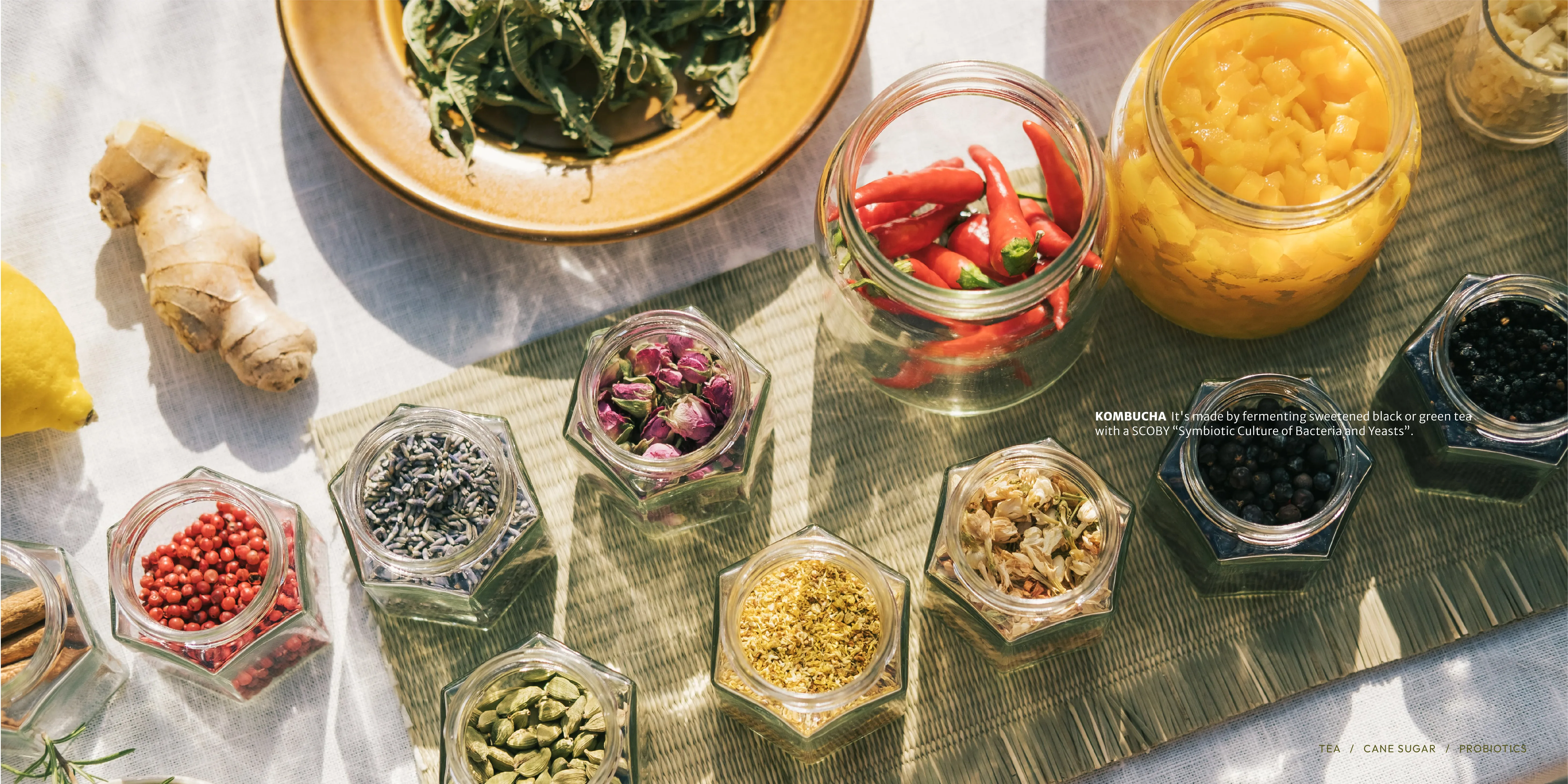  | Jun's Kombucha 究室康普茶｜台中精釀