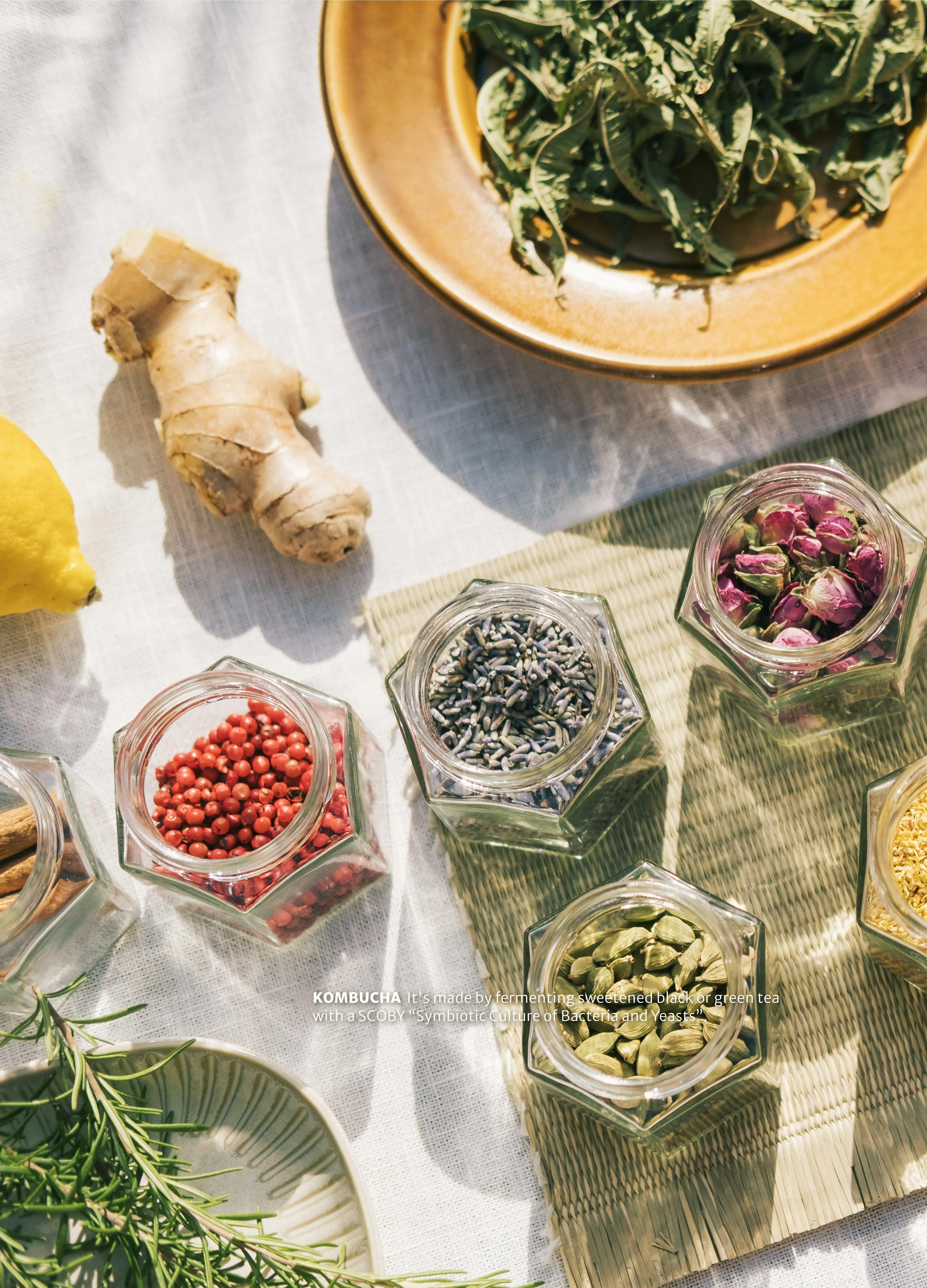  | Jun's Kombucha 究室康普茶｜台中精釀