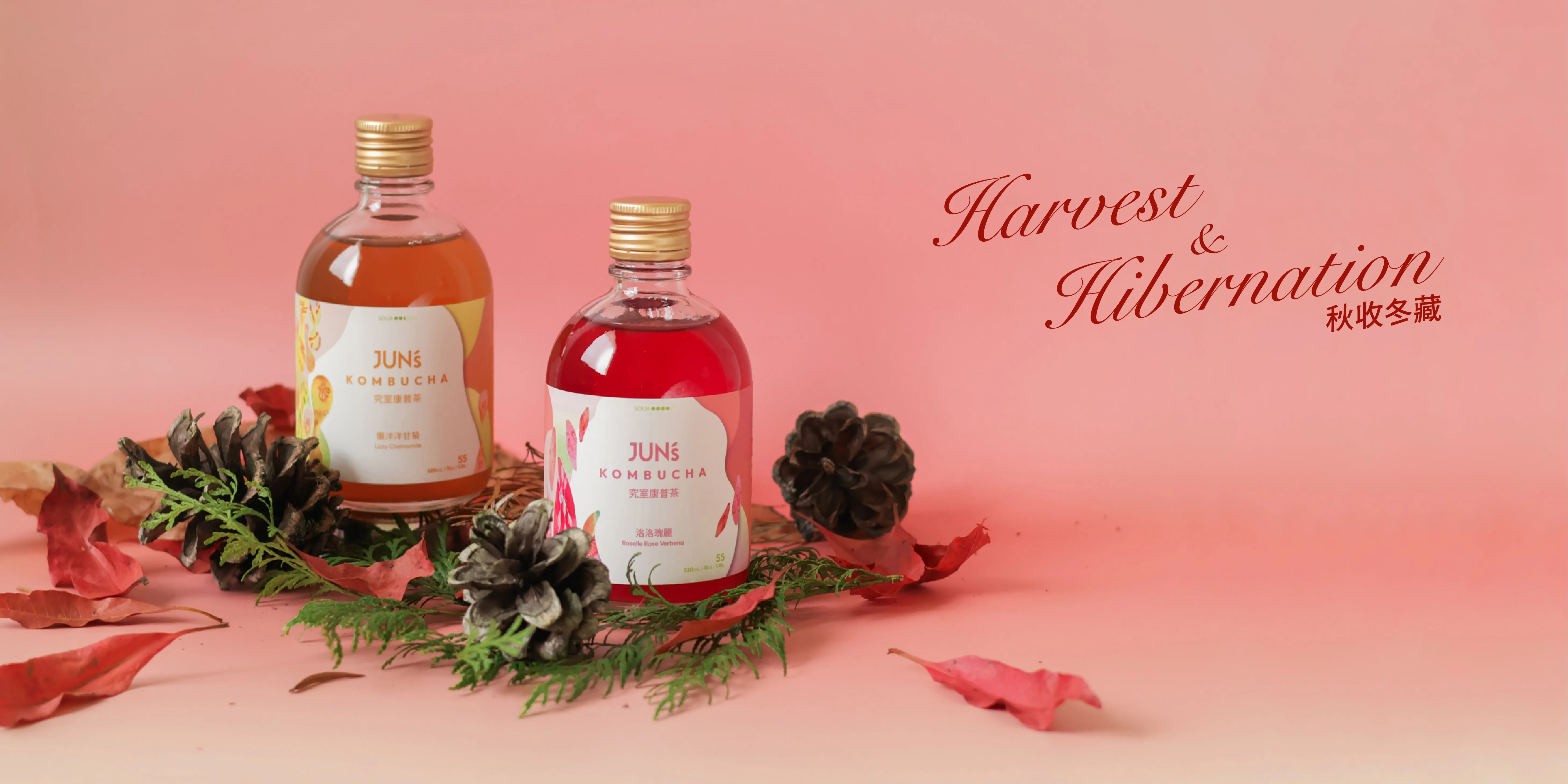  | Jun's Kombucha 究室康普茶｜台中精釀