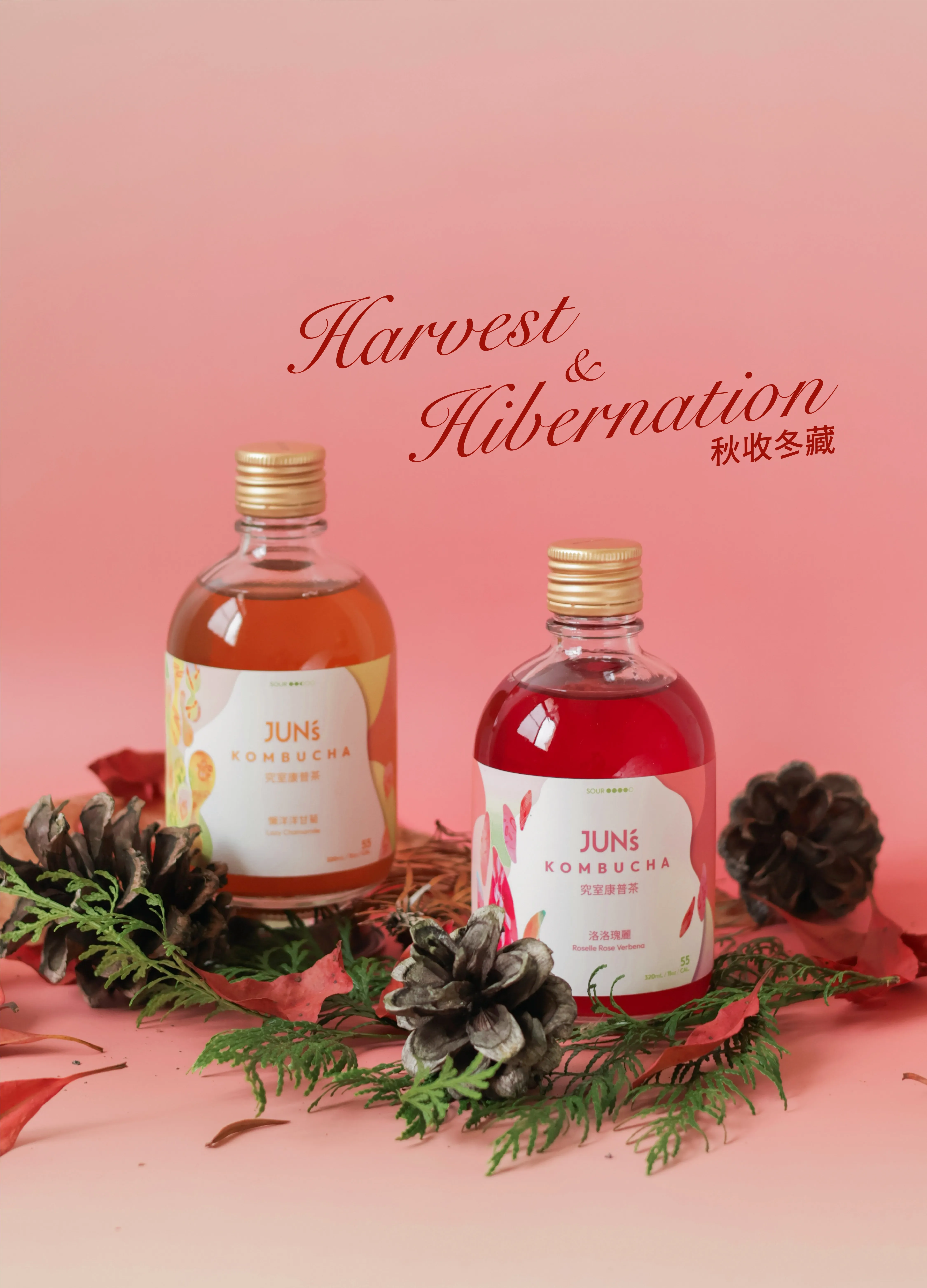  | Jun's Kombucha 究室康普茶｜台中精釀