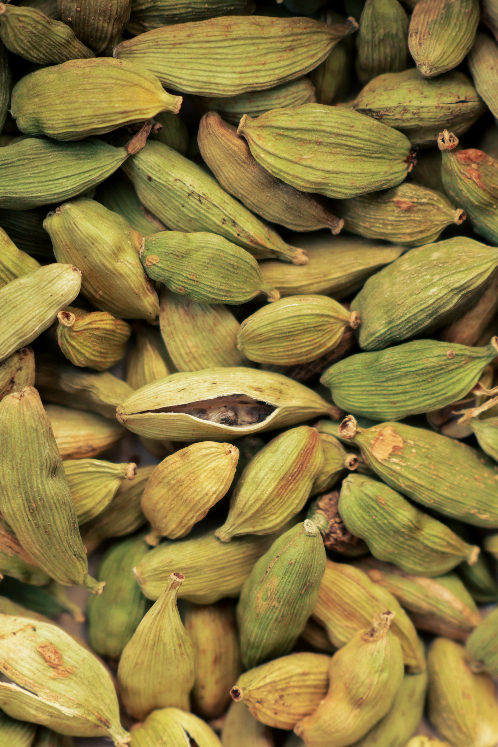 image_BDF228A2-5F2E-4293-BEBF-B19C8198072D_1774530947