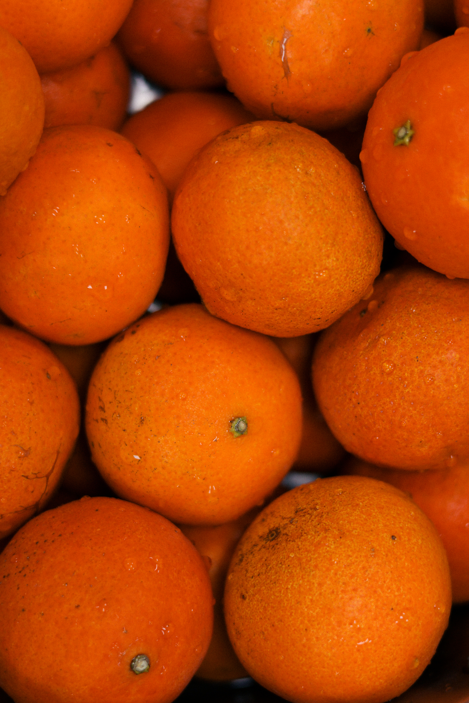 image_CEF80F47-88DE-4EE3-A110-EBE4E7F2DBC9_1774530947