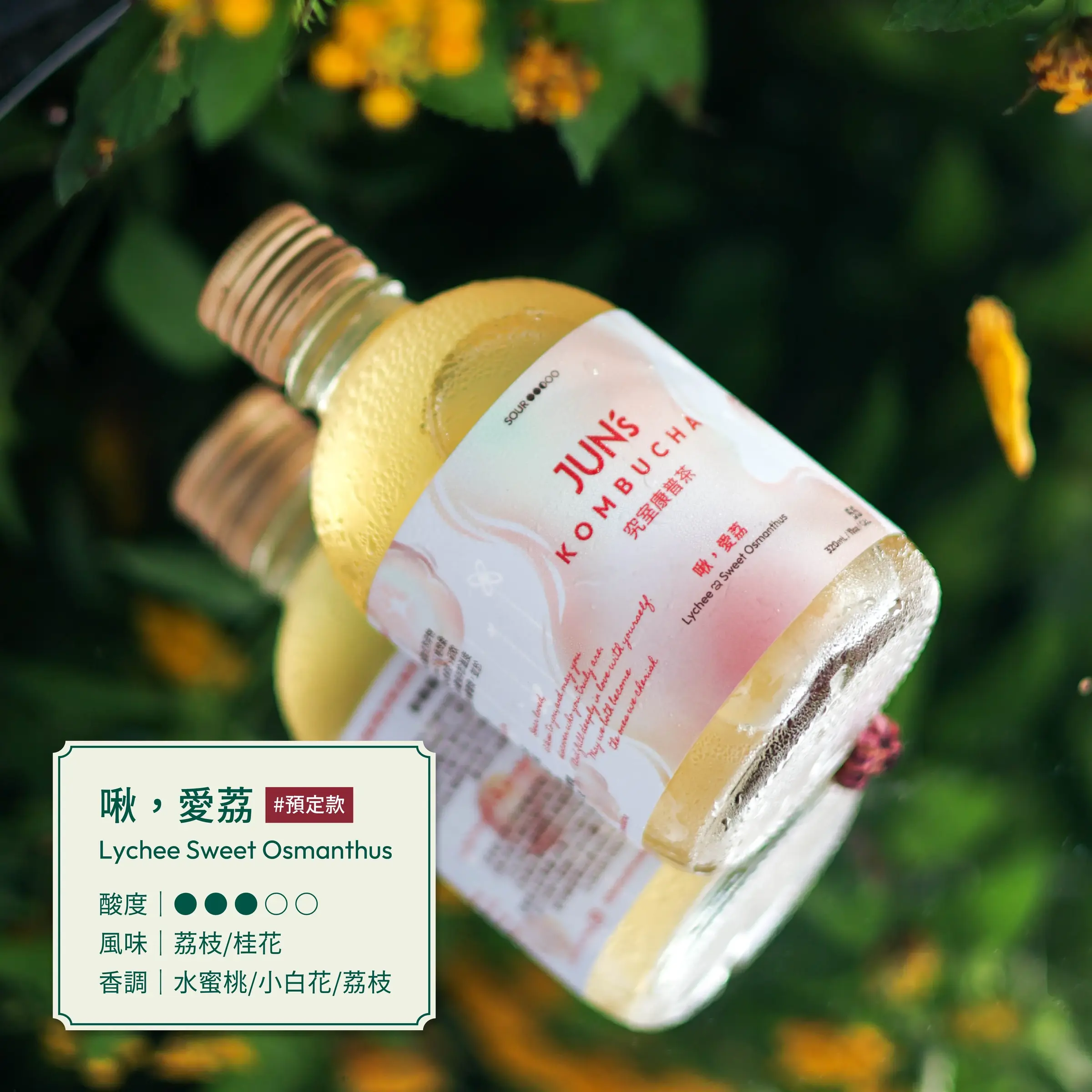 20251111-olivia老師團購檔-13