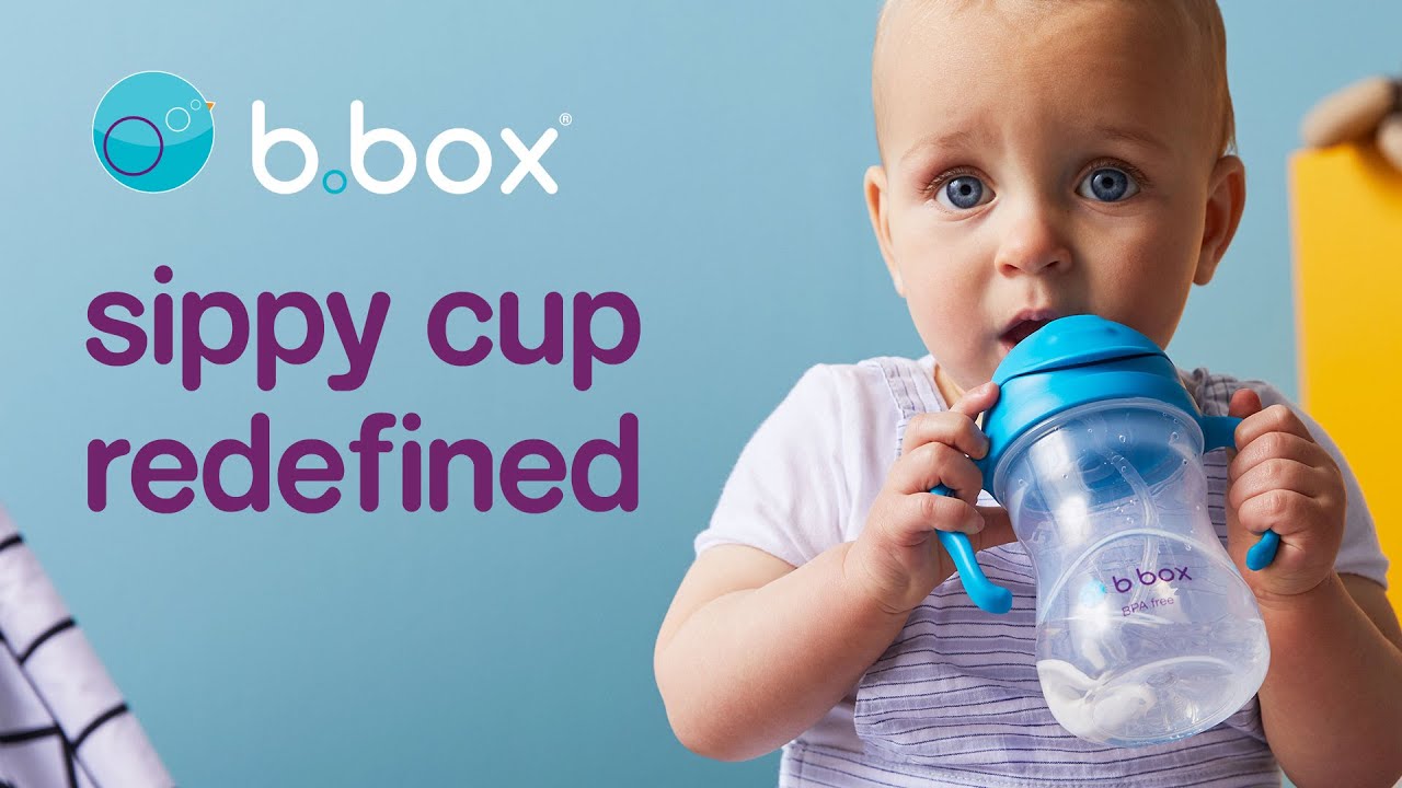 b.box Sippy Cup + Replacement Straw and Cleaner Pack, Includes 2 Weighted Straw  Sippy Cups (Raspberry & Grape)