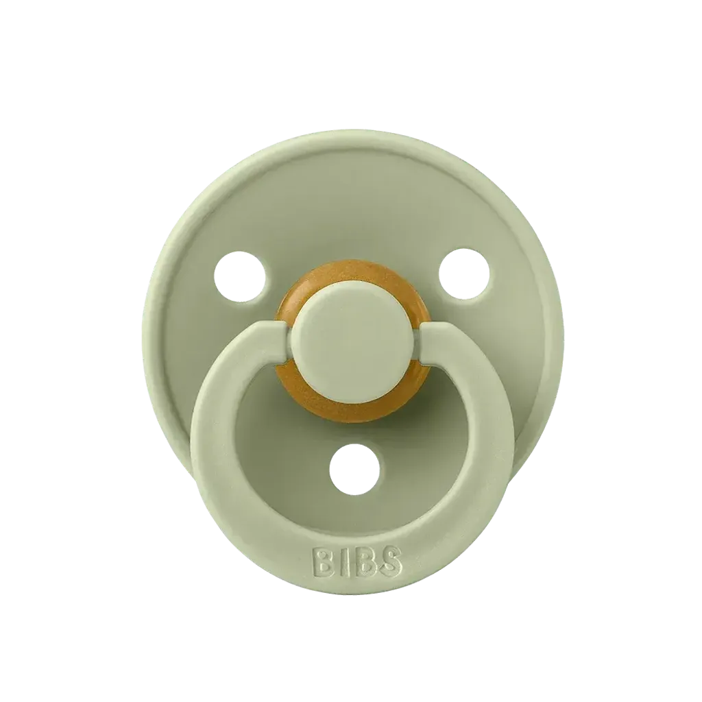 bibs-colour-pacifier-sage-shield