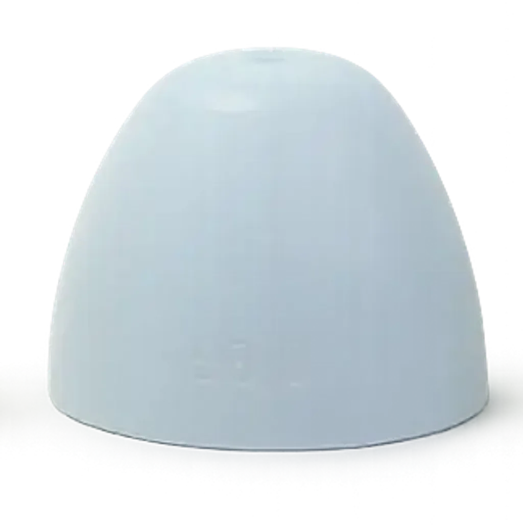 WebP Image