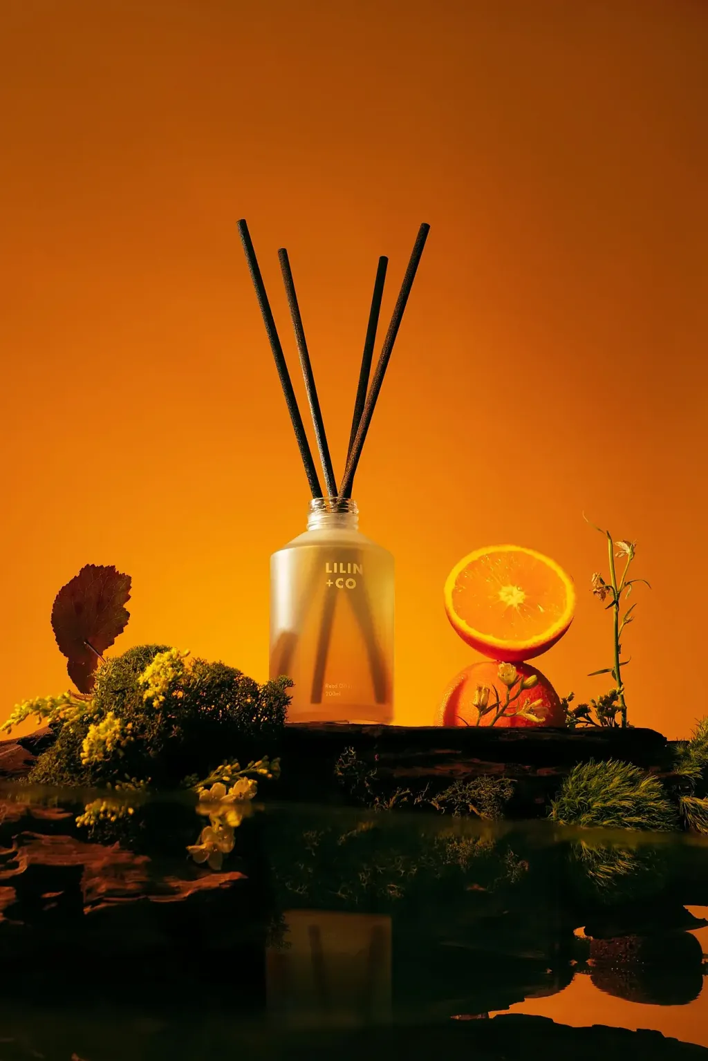 diffuser3_1366x2048