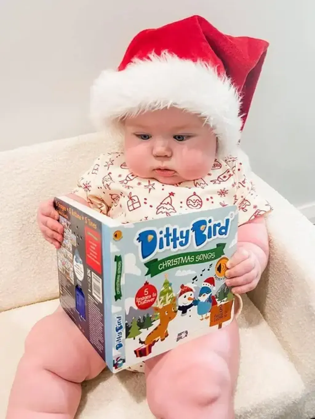 DittyBirdChristmasSongs