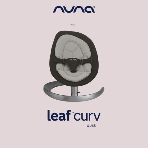 Bouncer nuna leaf curv sale