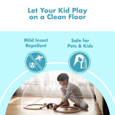 WhatsApp Image 2024-11-13 at 17.48.47 (6)