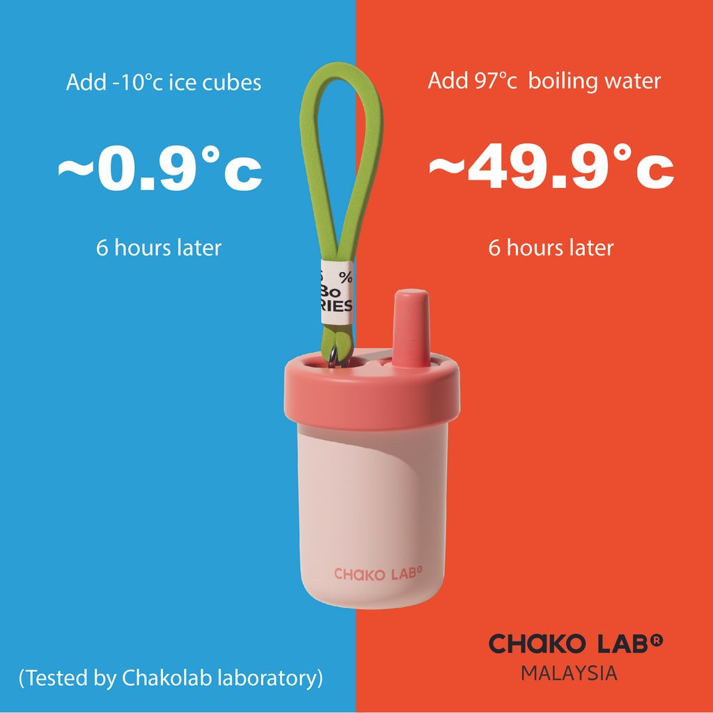 E_BOBO_THERMO_02_1733381282