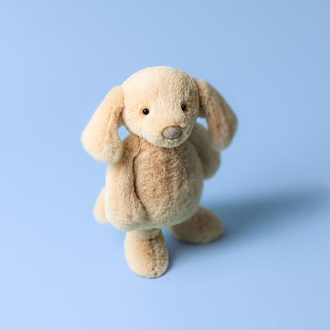 BAS3PUP_1__80852
