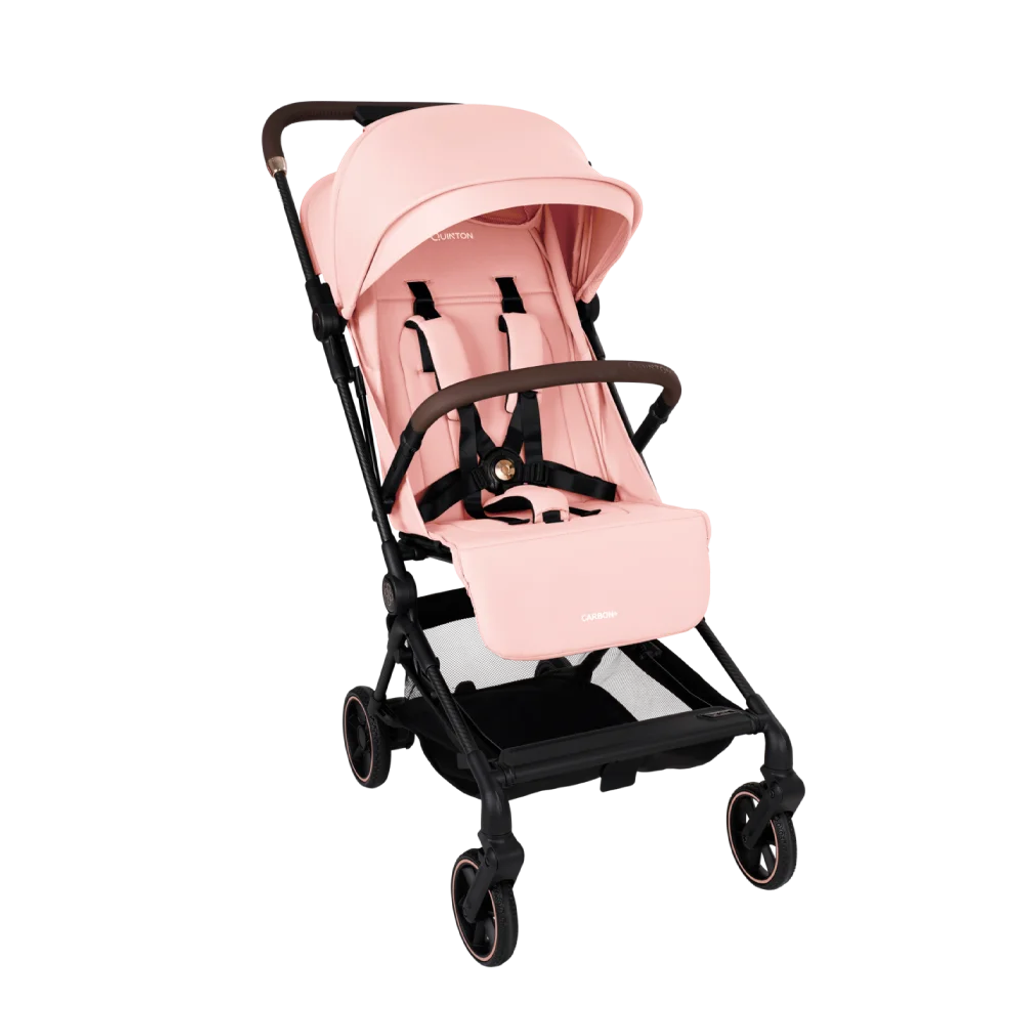 692fc7d28ac38_carbon-pink