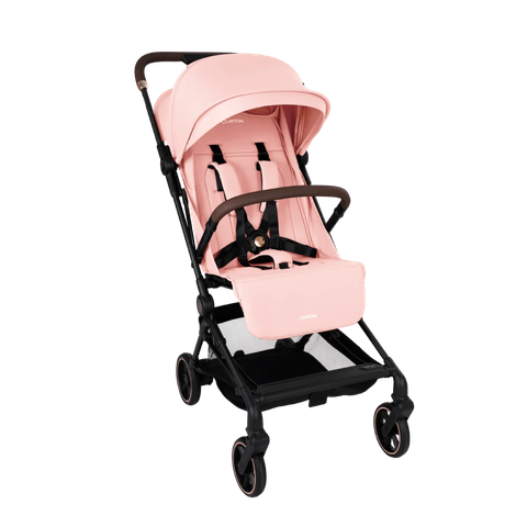 692fc7d28ac38_carbon-pink