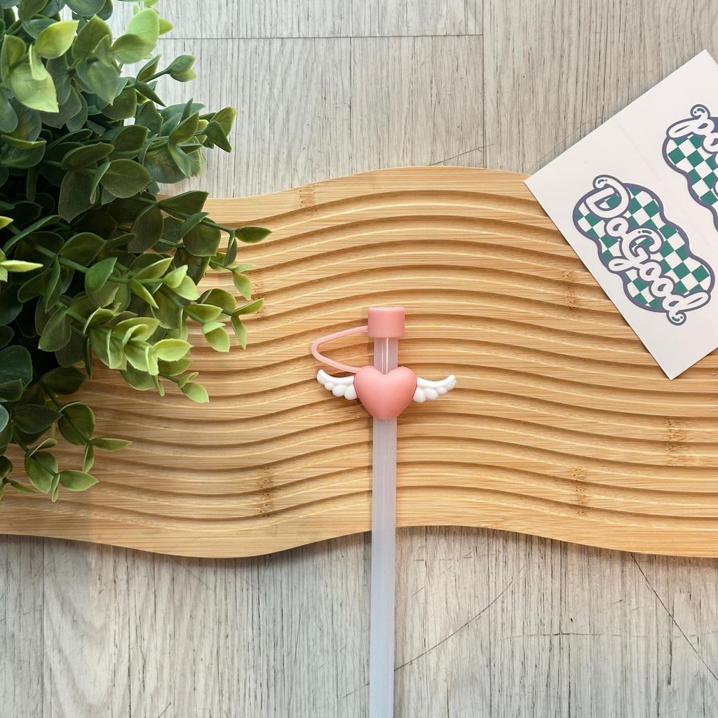 image_260A521C-14DF-490F-8142-AE393D183C10_1767593307